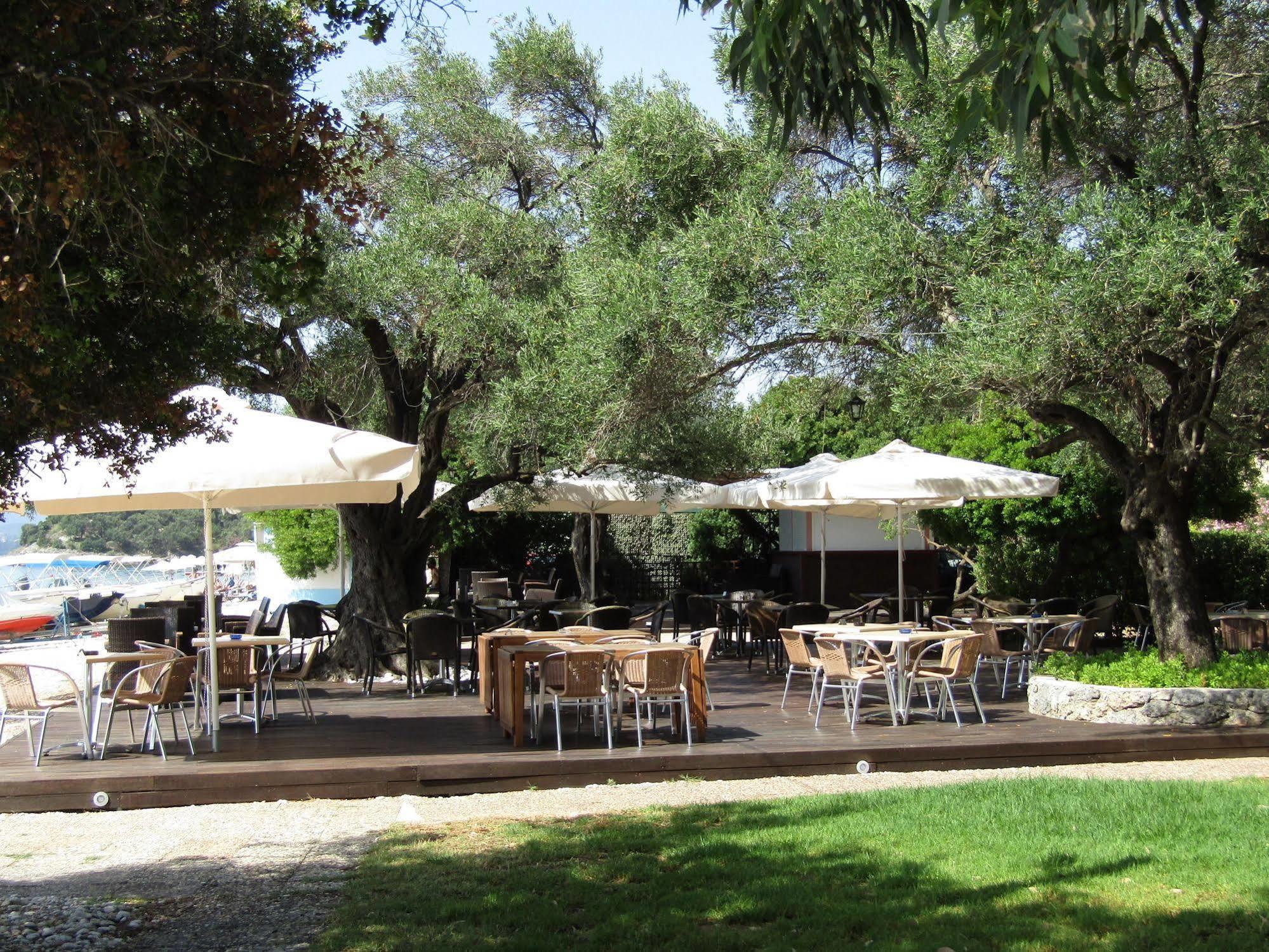 Barbati Beach Holiday Apartment, Corfu,Greece Εξωτερικό φωτογραφία