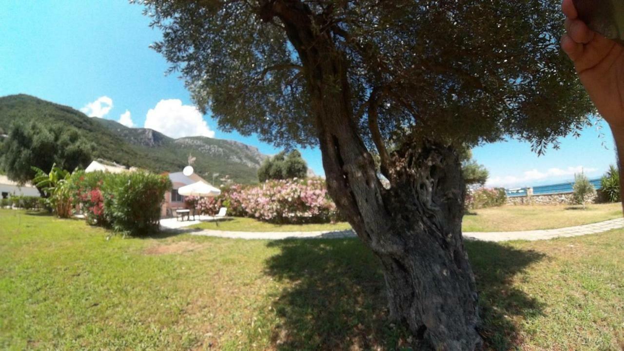 Barbati Beach Holiday Apartment, Corfu,Greece Εξωτερικό φωτογραφία